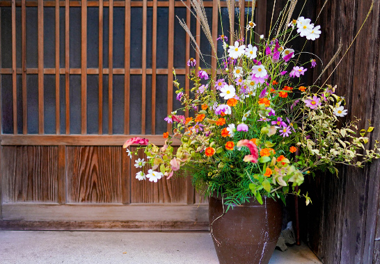 なごみやが選ばれる理由の画像4